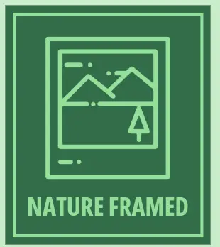 Nature Framed: Dive in to the nature